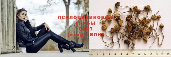 бутират Гусев