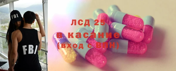 прущие грибы Дмитров