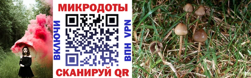 Галлюциногенные грибы мицелий  omg ссылка  Нальчик 